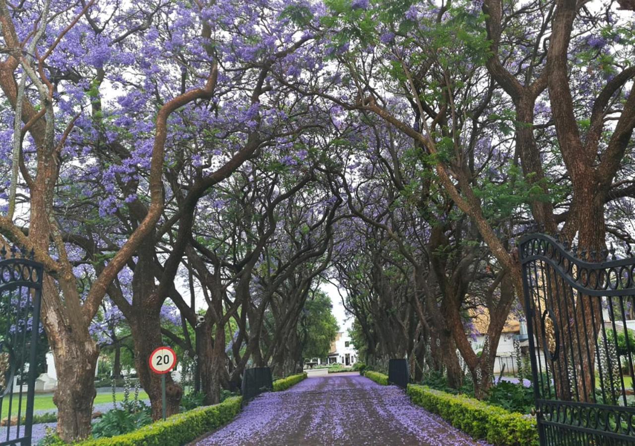 Kievits Kroon Gauteng Wine Estate Pretoria-Noord Exterior foto