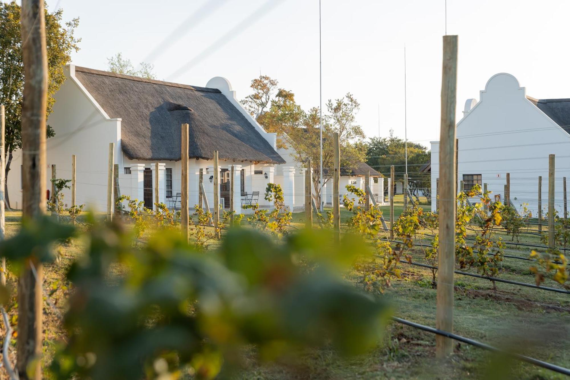 Kievits Kroon Gauteng Wine Estate Pretoria-Noord Exterior foto